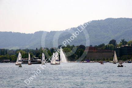 Sailboats on Zurichsee Lake in Zurich, Switzerland.switzerland, swiss, europe, european, travel, tourism, swiss alps, alps, alpine, zurich, sailboat, sail boat, boat, zurichsee lake, zurichsee, lake