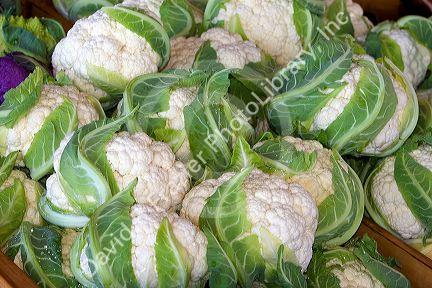 A display of cauliflower at a roadside fruit stand in Fruitland, Idaho.