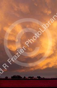 Storm clouds at sunset over southwest Idaho.  Mammarian clouds are laden with moisture.