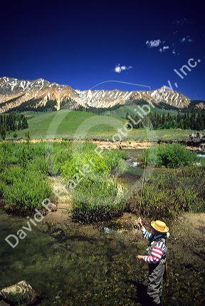 Fly fishing on the Big Wood River near Sun Valley, Idaho.