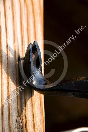 A cats paw crowbar pulling a nail out of a piece of wood.