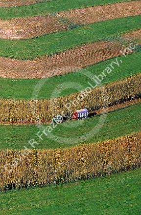 Aerial view of  contour strip farming corn harvest in Southwest Wisconsin.