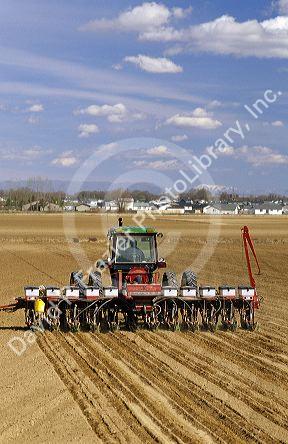 Tractor pulling a seed corn planter.