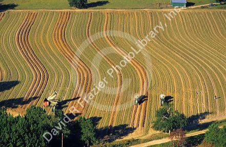 Aerial view of a peanut harvest in Georgia.