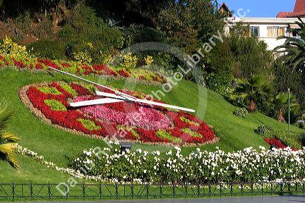 Flowers landscaped into the form of a clock in Valparaiso, Chile.