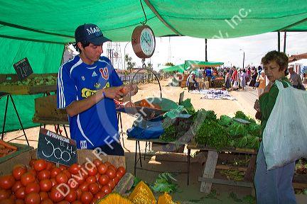 Man weighing tomatoes on a spring scale at an outdoor produce market in Valparaiso, Chile.