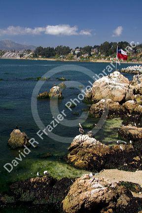 Coastal scene at Concon on the Pacific Ocean in Chile.