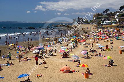 Beach scene at Concon on the Pacific Ocean in Chile.