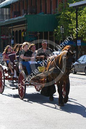 Horse and carriage ride in the Strand District of downtown Galveston, Texas.