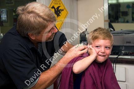 Barber giving a three year old boy a haircut in Tampa, Florida. MR