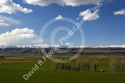 Farm near King Hill, Idaho.