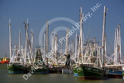 Commercial shrimp boats in Galveston, Texas.