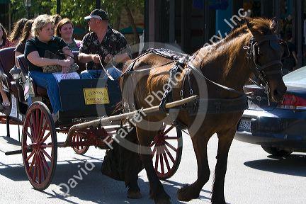 Horse and carriage ride in the Strand District of downtown Galveston, Texas.