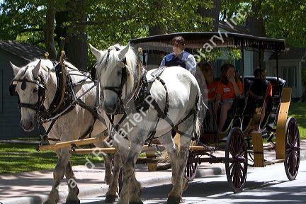 Children ride in a horse drawn taxi in Greenfield Village at The Henry Ford in Dearborn, Michigan.