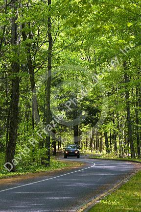 Auto driving through a wooded area of the Sleeping Bear Dunes National Lakeshore located along the northwest coast of the Lower Peninsula of Michigan.