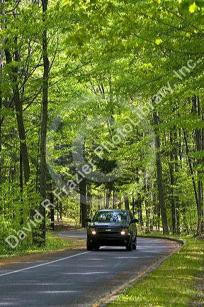 Auto driving through a wooded area of the Sleeping Bear Dunes National Lakeshore located along the northwest coast of the Lower Peninsula of Michigan.