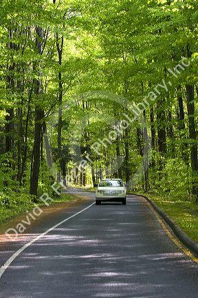 Auto driving through a wooded area of the Sleeping Bear Dunes National Lakeshore located along the northwest coast of the Lower Peninsula of Michigan.