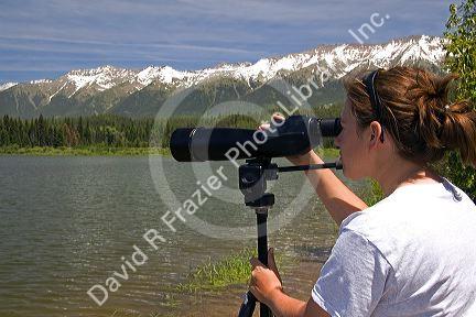 Wildlife biologist using a telescope to view nesting loons at Summit Lake, Montana.