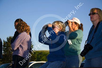 Tourists view wildlife with binoculars in Yellowstone National Park, Wyoming.