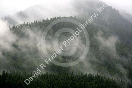 Fog and mist cover the Cascade Range near Snoqualmie Pass in Washington.