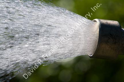 Water coming out of a sprinkler head.