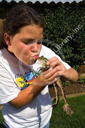 11 year old girl kissing a bullfrog in Boise, Idaho. MR