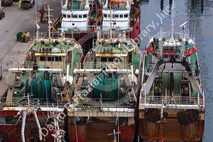 Fishing boats moored in the port at Ondarroa, Basque Country, Northern Spain.