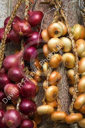 Onions being sold at an outdoor market in the town of Cangas de Onis, Asturias, northern Spain.