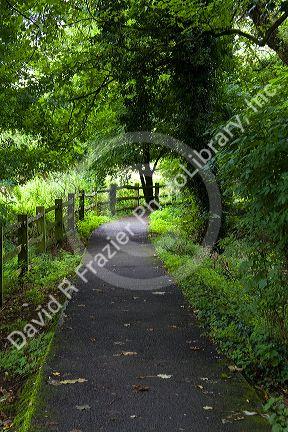 Tree lined walking path in the village of Bibury, Gloucestershire, England.