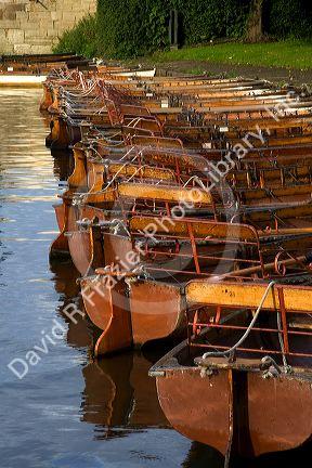 Row boats moored on the River Avon at Stratford-upon-Avon, Warwickshire, England.