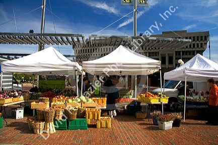 City Hall Plaza Farmers' Market in downtown Boston, Massachusetts, USA.