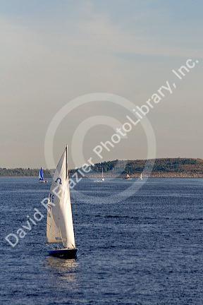 Sailboat in Boston Harbor, Boston, Massachusetts, USA.
