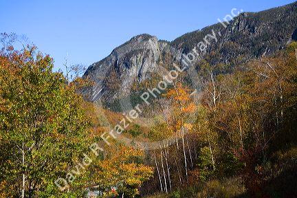 Cannon Mountain is a peak in the White Mountains located within the Franconia Notch State Park, New Hampshire, USA.
