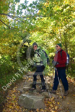 Hikers on a trail to Mount Lafayette at the northern end of the Franconia Range in the White Mountain National Forest, New Hampshire, USA.