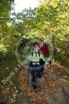 Hikers on a trail to Mount Lafayette at the northern end of the Franconia Range in the White Mountain National Forest, New Hampshire, USA.