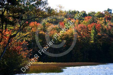 Fall foliage at Russell Pond in the White Mountain National Forest, Grafton County, New Hampshire, USA.