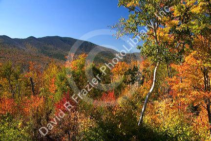 Scenic view of fall foliage in the Franconia Notch State Park, New Hampshire, USA.