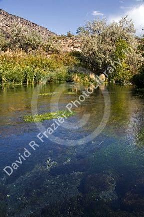 Natural spring water at Niagara Springs State Park in Hagerman, Idaho, USA.