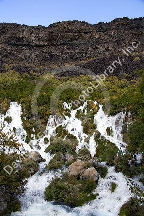 Fresh water springs in Niagra Springs State Park in Hagerman, Idaho, USA.