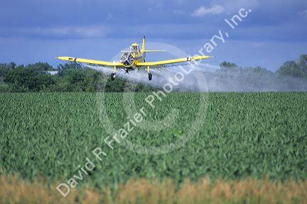 Cropdusting a corn field in Saline County, Nebraska.