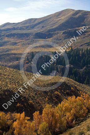 Fall foliage along the south fork of the Boise River in Elmore County, Idaho, USA.