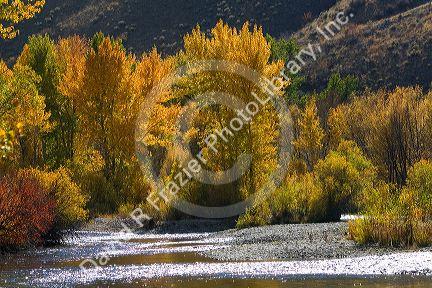 Fall foliage along the south fork of the Boise River in Elmore County, Idaho, USA.