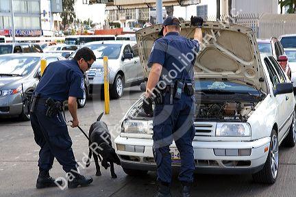U.S. Customs and Immigration agents use a drug detection dog on automobiles waiting to enter the United States port of entry at the Tijuana, Baja California, Mexico/San Diego, California border crossing.