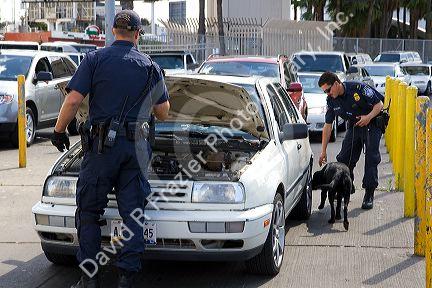 U.S. Customs and Immigration agents use a drug detection dog on automobiles waiting to enter the United States port of entry at the Tijuana, Baja California, Mexico/San Diego, California border crossing.