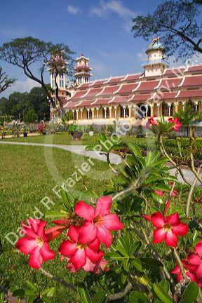 Cao Dai  See in Tay Ninh, Vietnam.