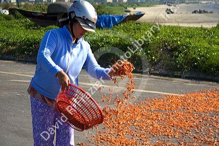 Shrimp being dried on a parking lot near the port city of Da Nang, Vietnam.