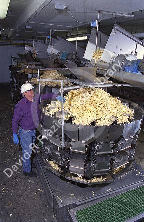 Frozen french fries being sorted for bagging at a processing plant.
