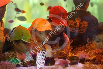 Vietnamese children view fish in a tank on display at the Nguyen Hue Boulevard Flower Show in Ho Chi Minh City, Vietnam.