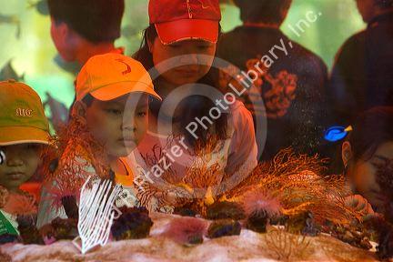 Vietnamese children view fish in a tank on display at the Nguyen Hue Boulevard Flower Show in Ho Chi Minh City, Vietnam.