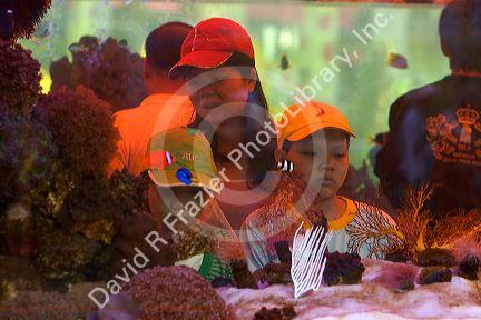 Vietnamese children view fish in a tank on display at the Nguyen Hue Boulevard Flower Show in Ho Chi Minh City, Vietnam.